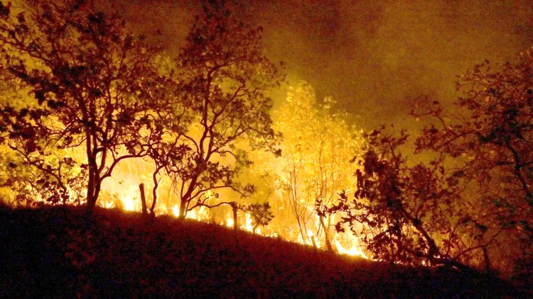 Queimadas persistem na Amazônia; cidades do PA superam mil focos