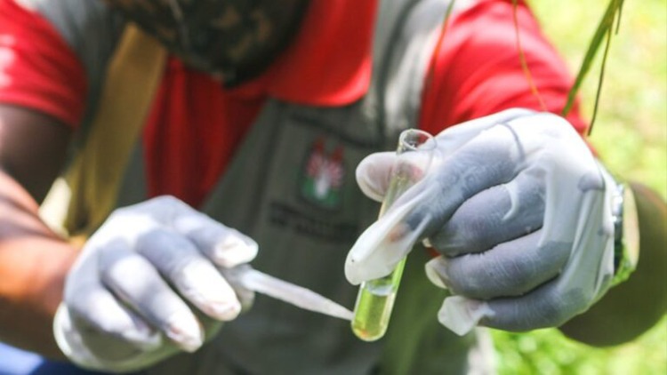 4° LIRAa: Macapá apresenta baixo risco de infestação por Aedes aegypti