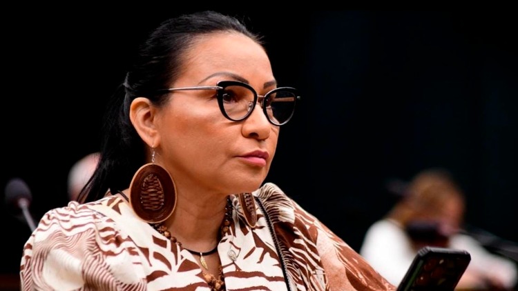 Silvia Waiãpi comemora aprovação do cadastro nacional de pedófilos e castração química