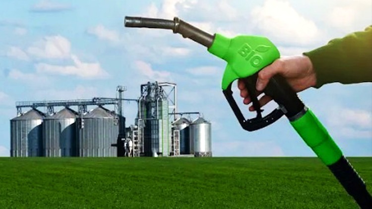 Transição energética: Juros baixos para empresa