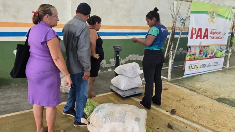 GEA adquire cerca de 25 toneladas de alimentos produzidos pela agricultora familiar de 5 municípios