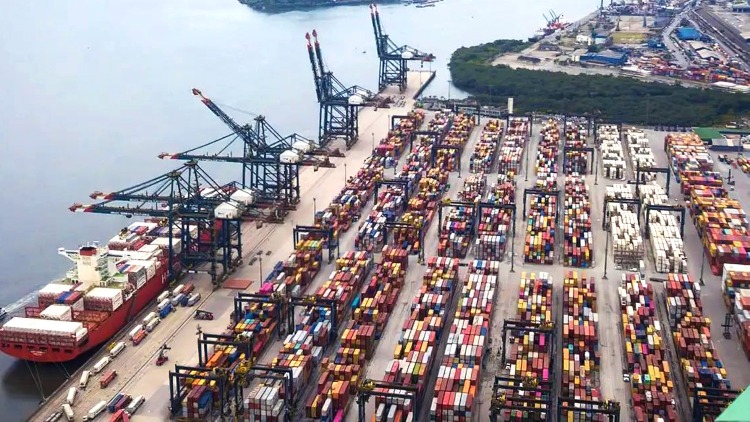 Brasil pode ganhar mercados com tarifaço de Trump, diz economista