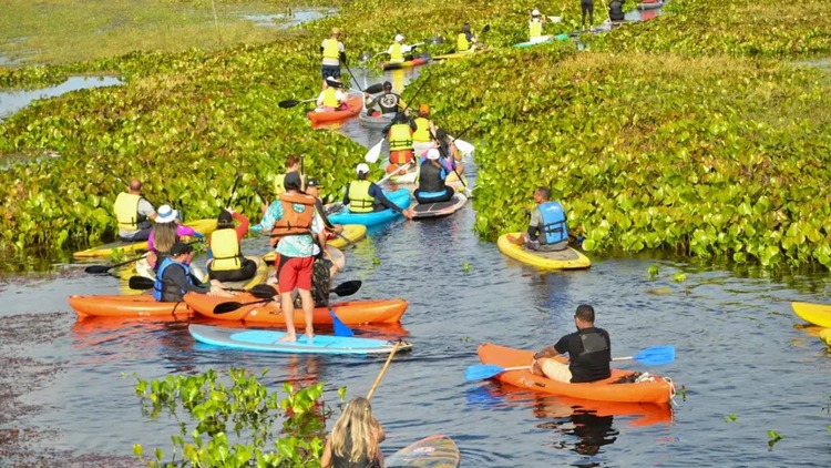 ‘Um Dia no Parque: Governo do Amapá celebra edição 2025 de movimento nacional com programação especial em Macapá