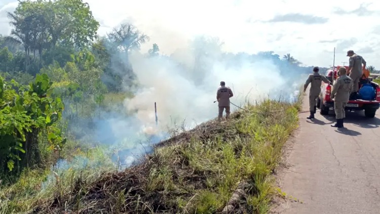 Amapá Verde: GEA intensifica intensifica ações contra queimadas e incêndios florestais