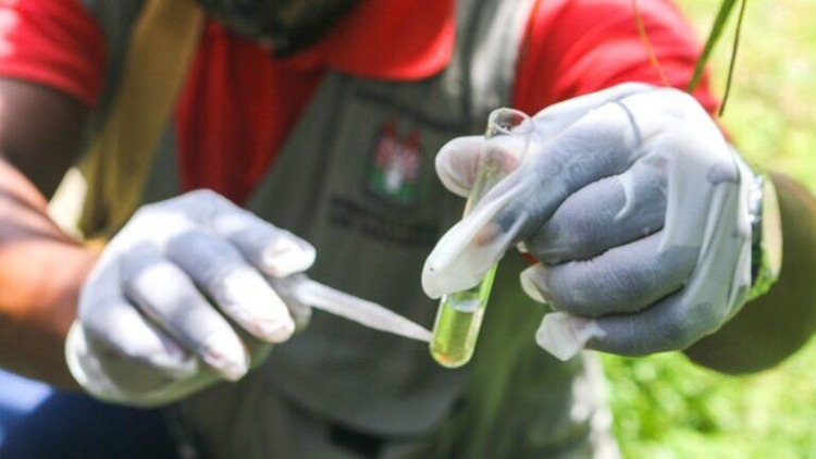 Prefeitura de Macapá confirma baixo risco de infestação do Aedes aegypti no 3º ciclo do LIRAa 2025