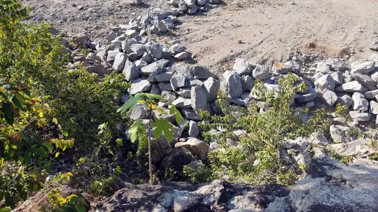 Governo do Amapá discute modelo de pequena mineração sustentável para o Distrito do Lourenço, em Calçoene