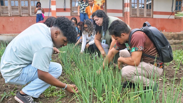 EcoEducação: projeto inicia etapa de formação para estudantes sobre hortas escolares na rede pública de ensino