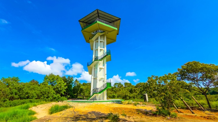 Prefeitura de Macapá avança na obra do Mirante do Bioparque da Amazônia