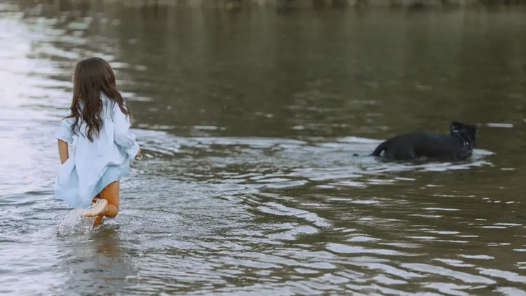 Saúde em Alerta: Governo do Amapá intensifica orientações para prevenir doenças durante período de chuvas