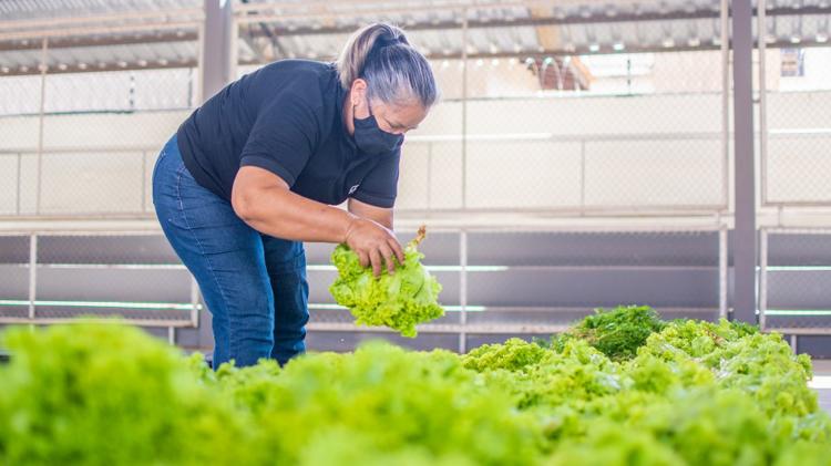 Em 2023, Governo do Amapá já beneficiou mais de 27 mil famílias com ações do Programa de Aquisição de Alimentos