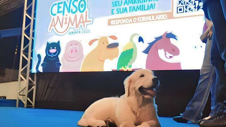 Governo do Amapá lança primeiro Censo Animal do estado | Jornal O Amapá